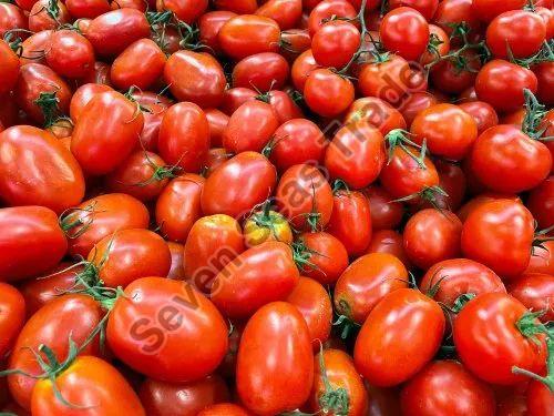 Fresh Red Tomato