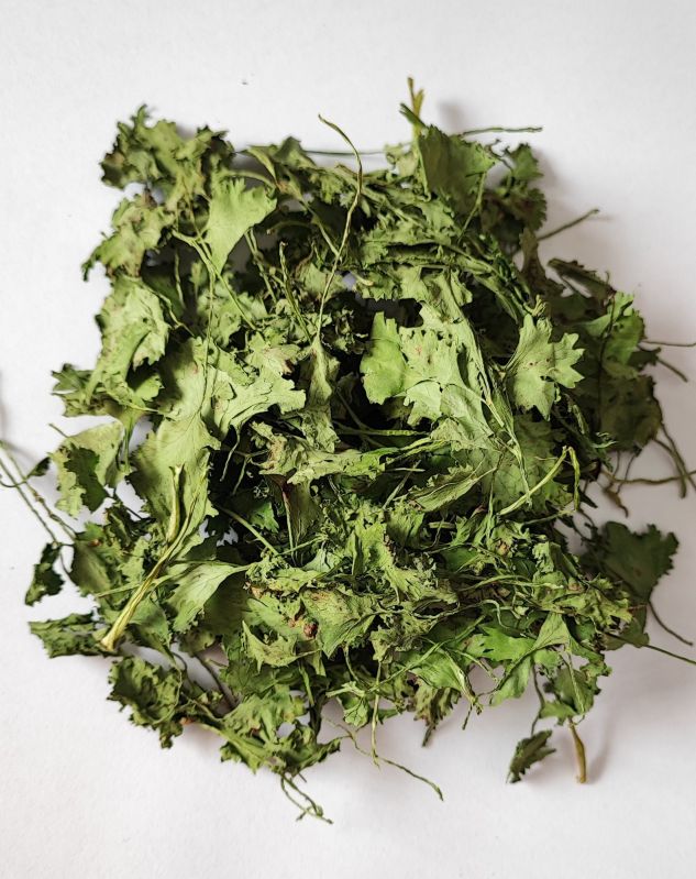 Dried Coriander Leaves