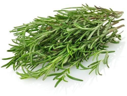 Fresh Rosemary Leaves