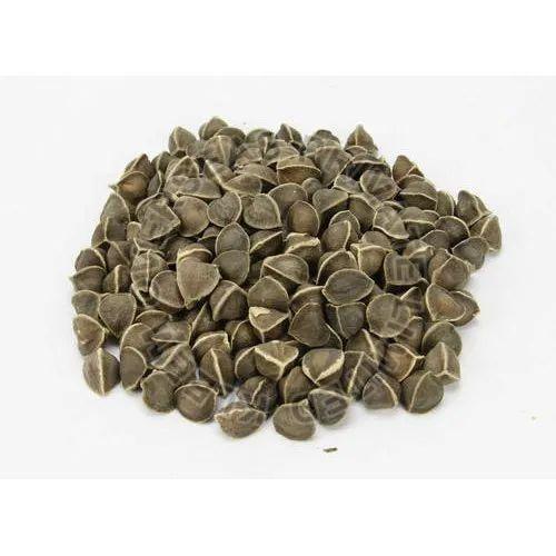 Moringa Seeds