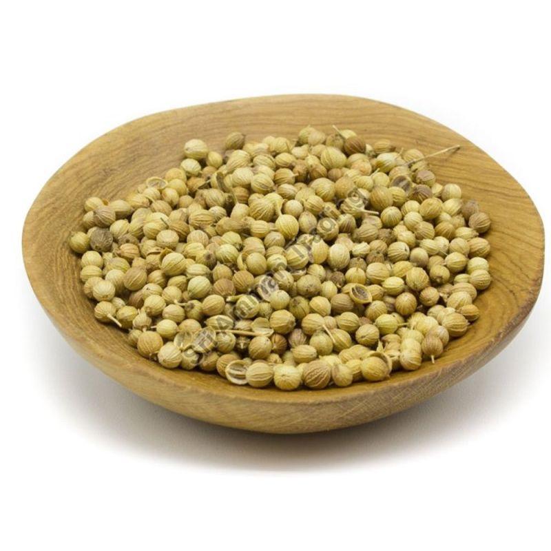 Coriander Seeds