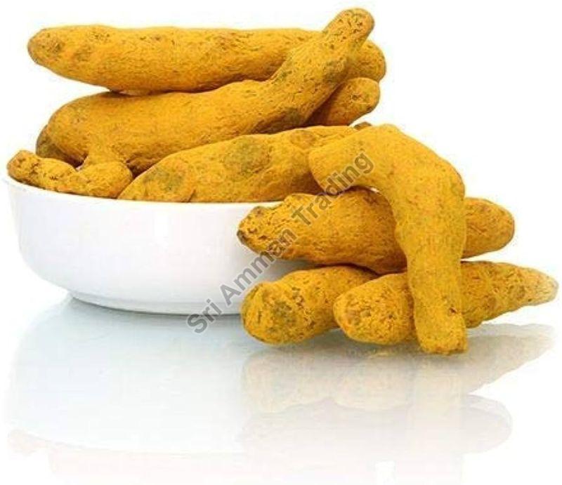 Kadapa Turmeric Finger