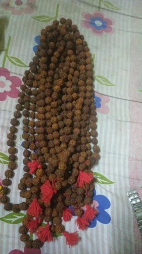 54 Dana Rudraksha Mala