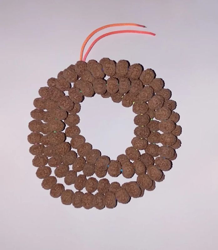 Nepali Rudraksha