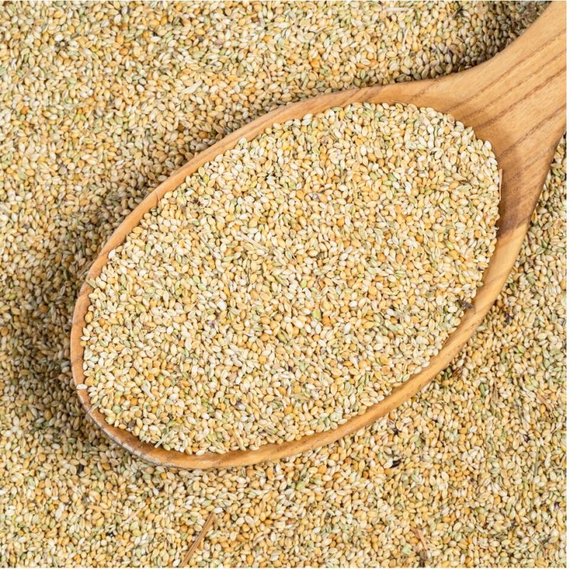 Foxtail Millet - Kangni Exporter, Supplier from Bhopal