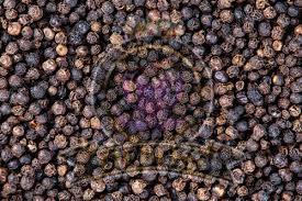 Black Pepper Seeds