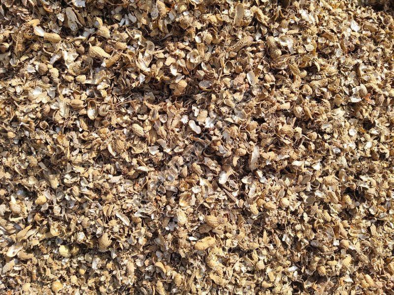 Natural Groundnut Shell Husk
