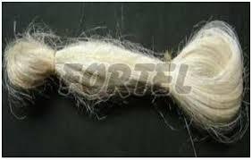 Sisal Fibre