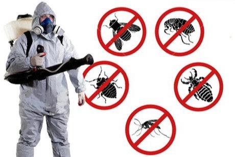 Pest Control Service