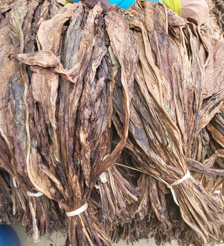 Dry Tobacco Leaves