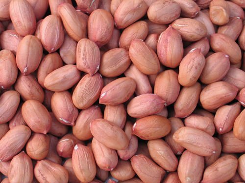 Groundnut Seeds