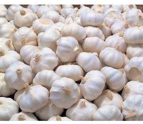 Fresh Garlic