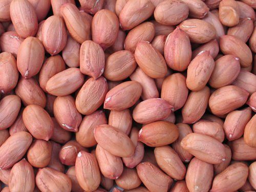 Groundnut Kernel