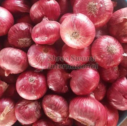 India Fresh Red Onion