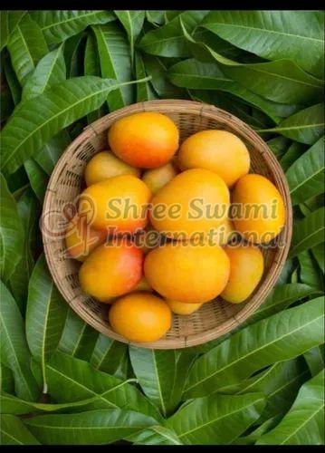 Natural Fresh Mango