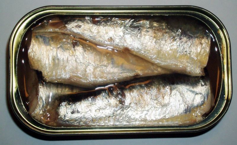 Canned Sardine Fish