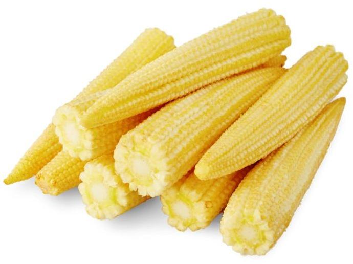 Frozen Baby Corn