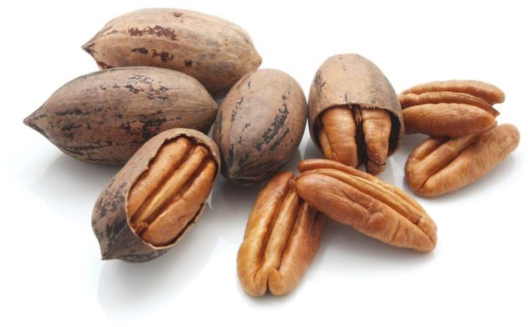 Pecan Nuts