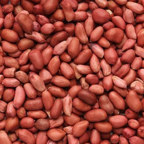 Groundnut Seeds