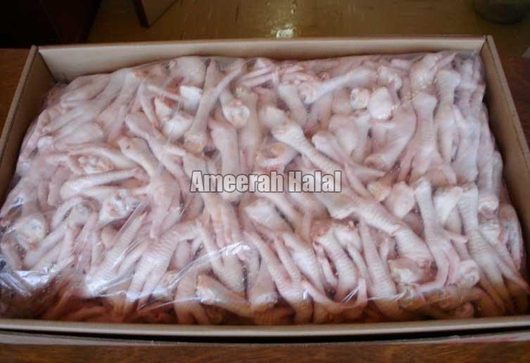 Frozen Halal Chicken Paw