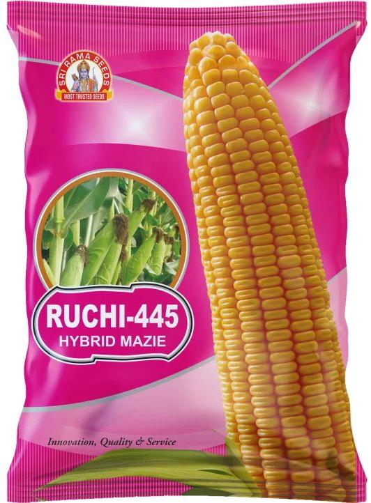 Ruchi-445 Hybrid Maize Seeds