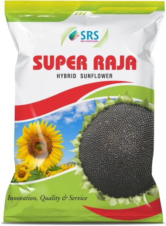 Super Raja Hybrid Sunflower Seeds