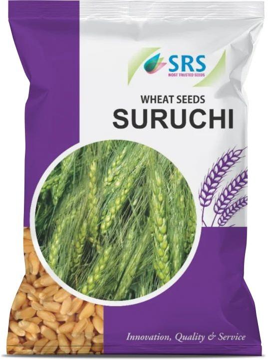 Suruchi Wheat Seeds