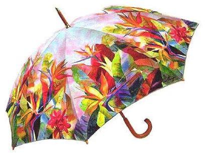 Printed Umbrella