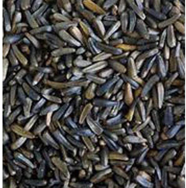 Black Niger Seeds