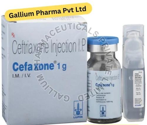 Cefaxone 1gm Ceftriaxone Injection IP