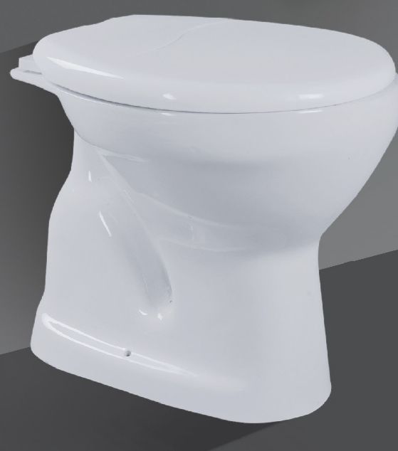 Concealed EWC Floor Mounted Water Closet