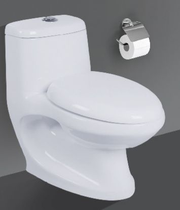 Flora One Piece Water Closet