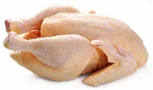 Fresh Broiler Chicken