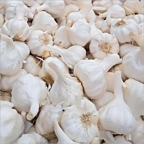 Natural Garlic