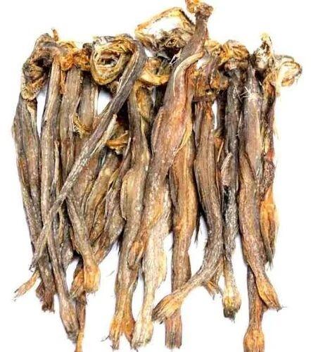 Dry Bombay Duck Fish