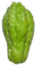 Chayote