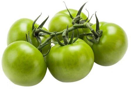 Green Tomato