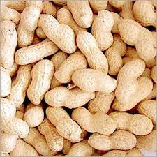 Shelled Peanuts