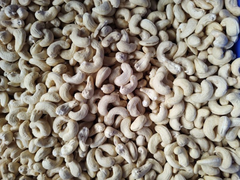 W320 White Whole Cashew Nut