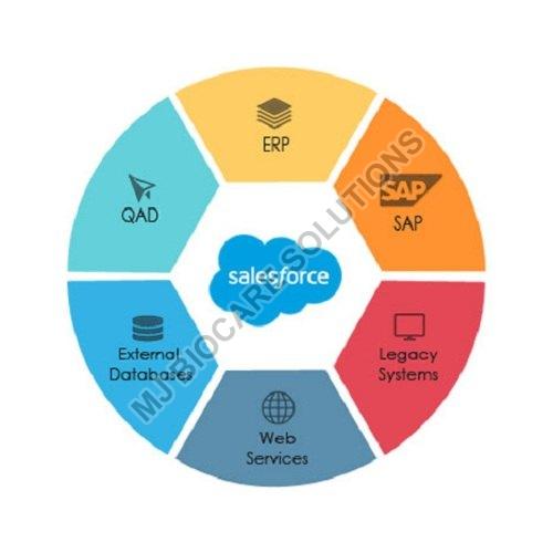 Salesforce Services