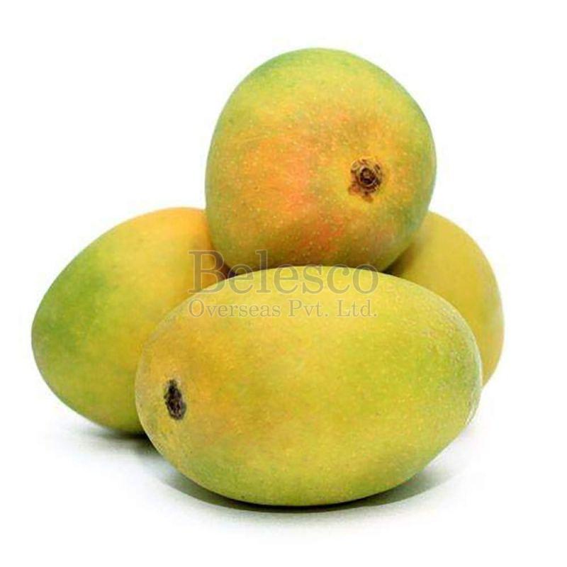 Fresh Mango