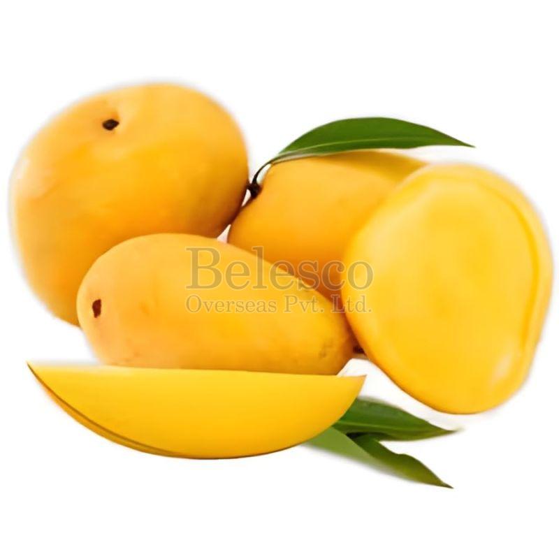 Fresh Chaunsa Mango