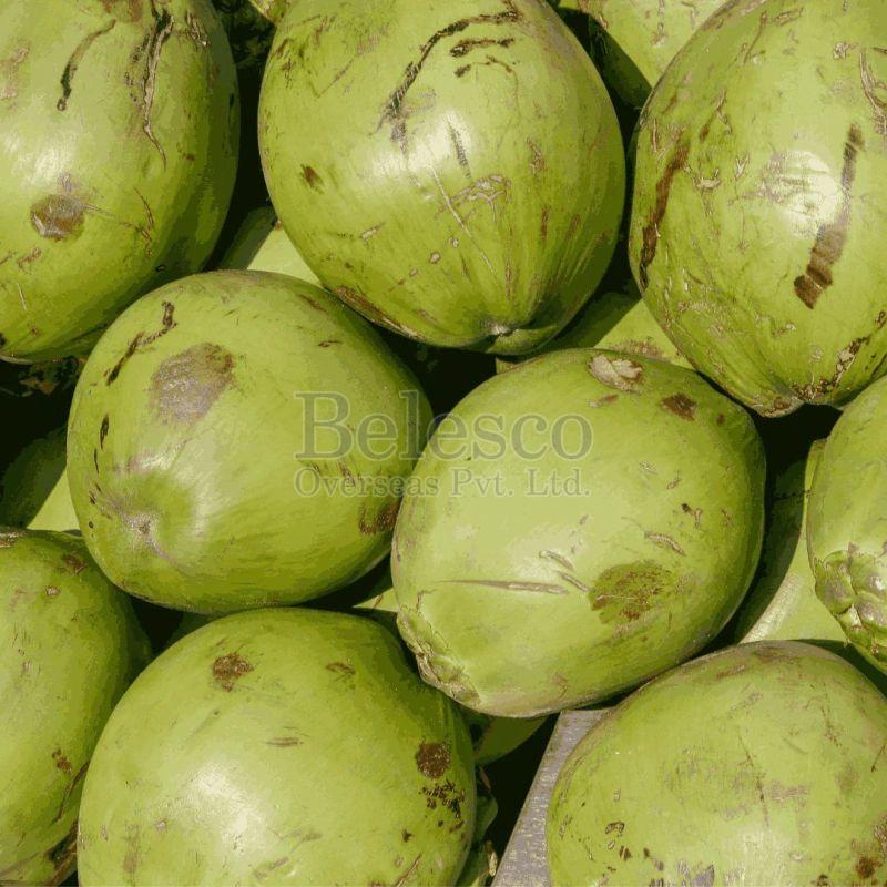 Fresh Tender Coconut