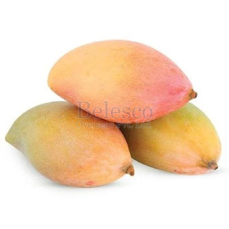 Fresh Totapuri Mango