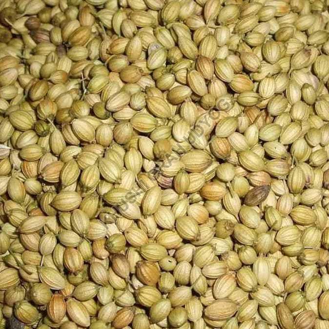 Coriander  Seeds