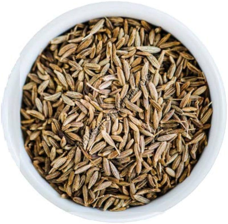 Cumin Seeds