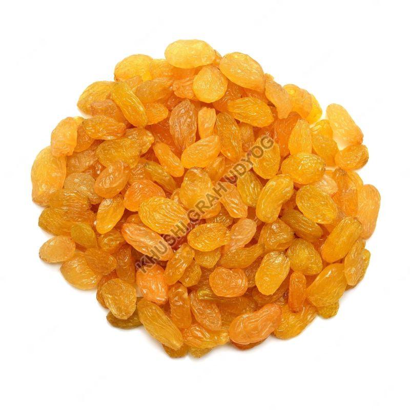 Golden Raisins