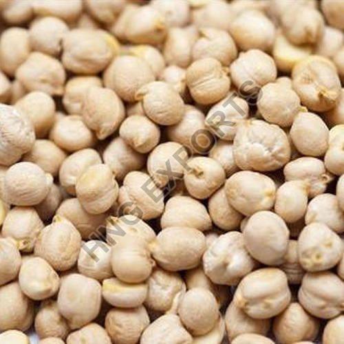 White Chickpeas