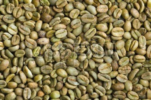 Green Arabica Plantation C Grade Coffee Beans