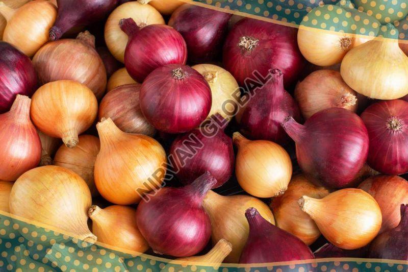 Red Onion